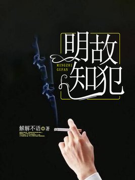 明知故犯长孙小说
