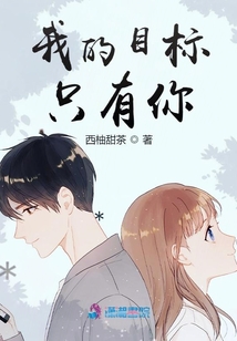 我的目标只有你小说