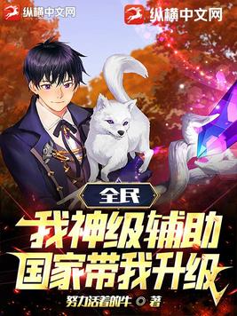 全民我神级辅助国家带我升级