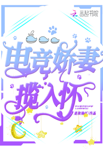 小说名叫电竞