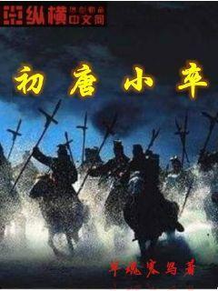 初唐小卒 TXT下载