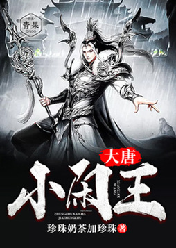 大唐小闲王百度百科
