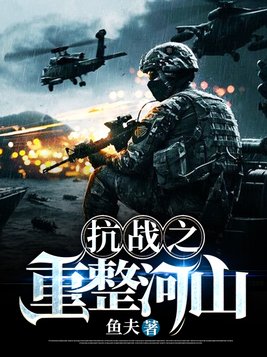 抗战之重整河山 第799章