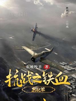 抗战之铁血东北军 小说