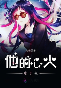 他似心火燎原小说