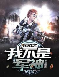 抗战之我不是军神 第43章