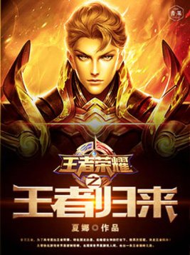 王者荣耀之王者归来小说免费阅读