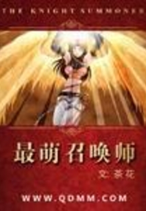 最强召唤师cp