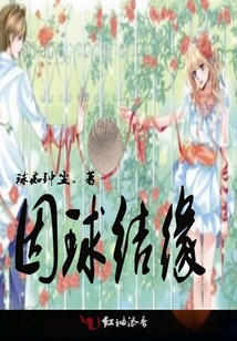 因球结缘 以球会友