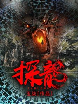 探龙秘闻小说免费阅读