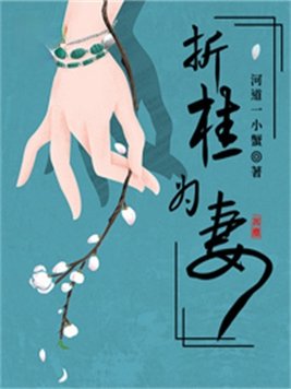 折桂为妻小说下载