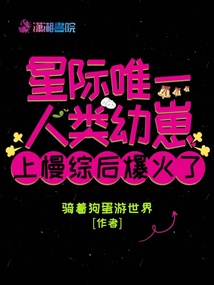 星际中纯人类的小说