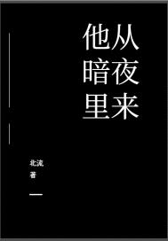 他从暗夜里来百度云