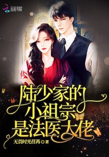 陆少家的小祖宗是法医大佬笔趣阁