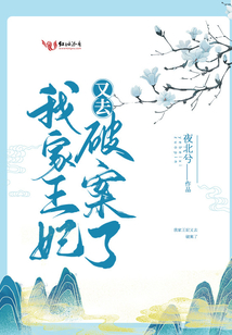 我家王妃又去破案了下载