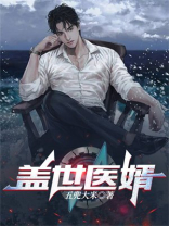 盖世医婿 洛少