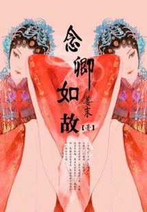 念卿如故小说免费阅读