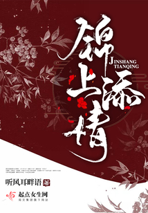 锦上添情小说讲的什么