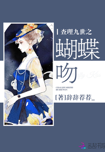 查理九世之神秘的身世