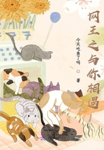 网王与你相遇小说免费阅读