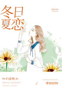 冬日夏至小说