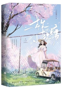 一枚小软糖全文免费阅读
