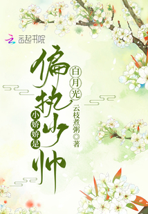 偏执少帅狠狠爱,小娇娇免费阅读