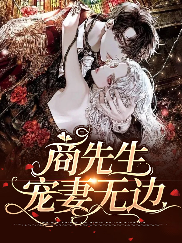 商先生独家婚宠小说