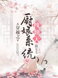 穿越之厨娘小说