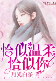 恰似温柔恰似你全文阅读