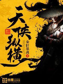 侠气纵横 小说