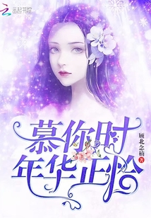 慕你时年华正恰 小说