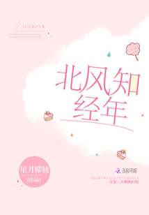 北风知经年免费阅读