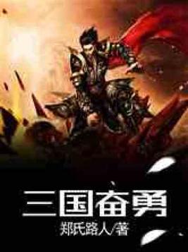 三国奋勇小说