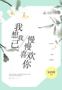 我想我已慢慢喜欢你 小说