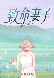 致命妻子1-20集