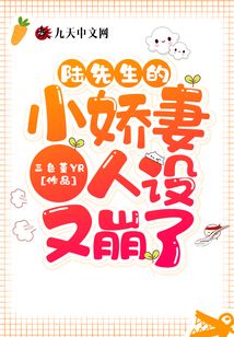 陆先生的小男友小说免费