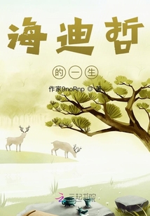 海迪的含义