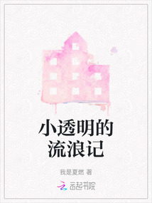 小寸流浪记