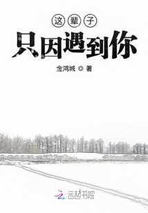 这辈子只因遇到你歌词