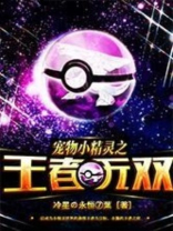 神奇宝贝之智爷传奇