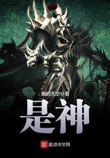 是神小说