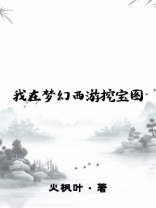 我在梦幻西游挖宝图TXT