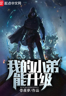 我的小弟能升级 小说