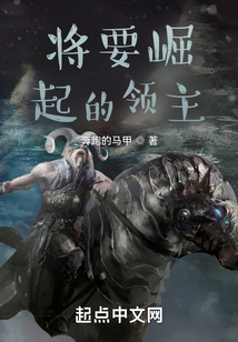 将要崛起的领主,免费阅读全文