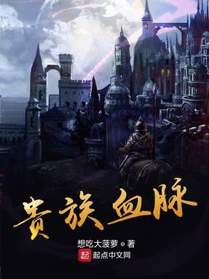 贵族血脉的传承歌词