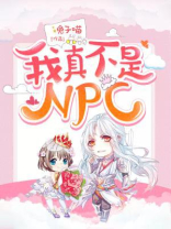 我真不是高手