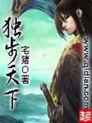 独步天下小说