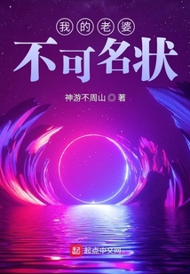 我的老婆不可名状结局