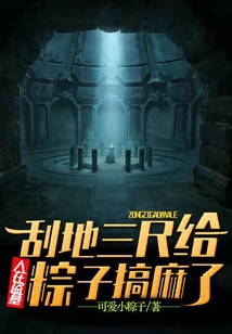 人在盗墓:刮地三尺给粽子搞麻了可听书网